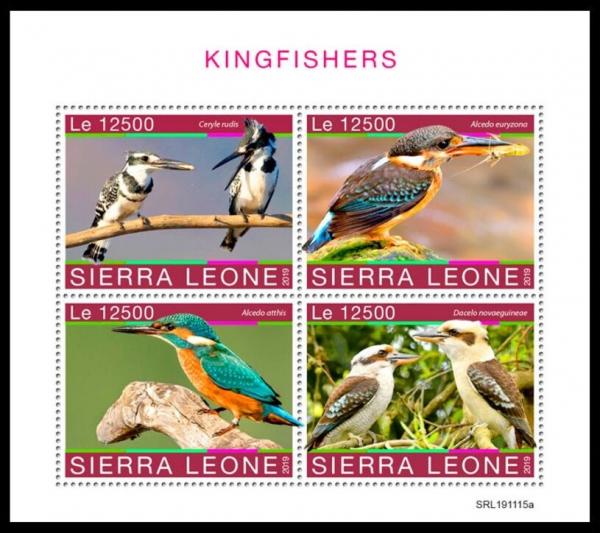 Colnect-6335-429-Kingfishers.jpg