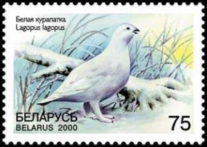 2000._Stamp_of_Belarus_0371.jpg