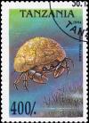 Colnect-3539-283-Crab-Dromia-vulgaris.jpg