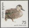 Colnect-2513-094-Pacific-Black-Duck-Anas-superciliosa.jpg