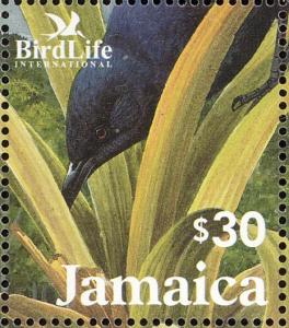 Colnect-5269-685-Jamaican-Blackbird-Nesopsar-nigerrimus.jpg