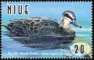 Colnect-5935-585-Pacific-black-duck-Anas-superciliosa.jpg