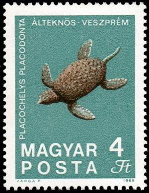 Colnect-890-356-Fossilized-Turtle-Placochelys-placodonta-from-Veszpr%C3%A9m.jpg