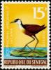Colnect-1078-584-African-Jacana-Actophilornis-africanus---Male.jpg