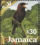 Colnect-5269-686-Jamaican-Blackbird-Nesopsar-nigerrimus.jpg