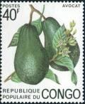 Colnect-5861-490-Avocado-Persea-americana.jpg