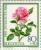 Colnect-140-800-Roses--Madame-Caroline-testout-.jpg