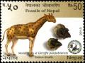 Colnect-3205-906-Giraffe-Giraffa-punjabiensis---Extinct.jpg