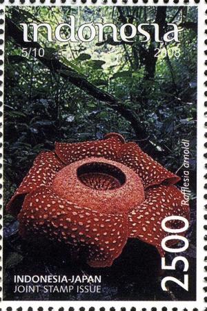 Colnect-905-451-Rafflesia-arnoldi.jpg