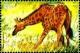 Colnect-5059-482-Giraffa-camelopardalis.jpg