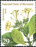 Colnect-2470-184-Fagraea-berteriana.jpg