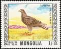 Colnect-859-475-Steppe-Eagle-Aquila-nipalensis.jpg
