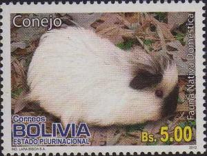 Colnect-4301-562-Rabbit-Oryctolagus-cuniculus-forma-domestica.jpg