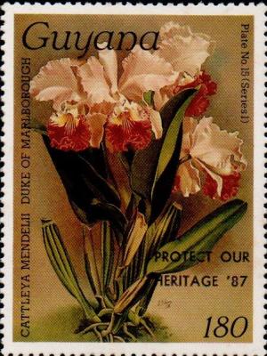 Colnect-4892-386--Protect-Our-Heritage--87--overprint-on-180c-Orchid.jpg