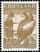 Colnect-1920-537-White-tailed-Eagle-Haliaeetus-albicilla-Girl.jpg