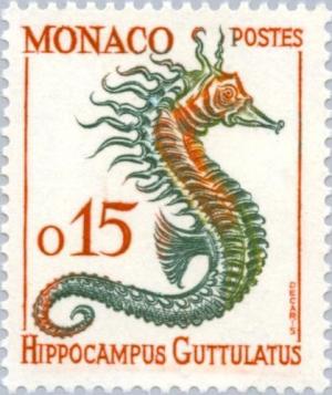 Colnect-147-820-Long-snouted-Seahorse-Hippocampus-guttulatus.jpg