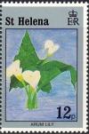 Colnect-2529-915-Arum-lily-painting-by-Delphia-Mittens.jpg