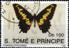 Colnect-4741-796-Swallowtail-Euryades-duponcheli.jpg