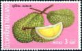Colnect-5400-452-Thai-Fruits--Durian.jpg