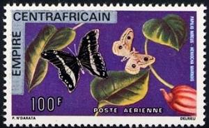 Colnect-2303-672-Green-banded-Swallowtail-Papilio-nireus-Marbled-Emperor-M.jpg
