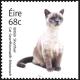 Colnect-2461-492-British-Shorthair-Cat-Felis-silvestris-catus.jpg