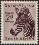 Colnect-4190-517-Mountain-Zebra-Equus-zebra.jpg