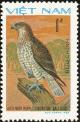 Colnect-1613-197-Short-toed-Snake-Eagle-Circaetus-gallicus.jpg