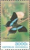 Colnect-1141-752-Green-Swallowtail-Papilio-blumei.jpg
