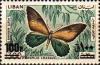 Colnect-1381-160-Crassus-Swallowtail-Papilio-crassus.jpg