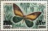 Colnect-1381-162-Crassus-Swallowtail-Papilio-crassus.jpg