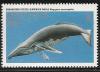 Colnect-1573-086-Humpback-Whale-Megaptera-novaeangliae.jpg