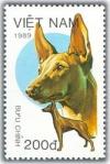 Colnect-1635-898-Podenco-Andaluz-Canis-lupus-familiaris.jpg