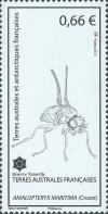 Colnect-2953-277-Amalopteryx-maritima.jpg