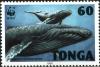 Colnect-3982-384-Humpback-whale-Megaptera-novaeangliae.jpg