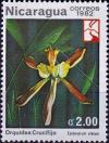 Colnect-4015-679-Epidendrum-alatum---Winged-Epidendrum.jpg