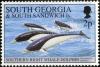 Colnect-5169-445-Southern-Right-Whale-Dolphin-Lissodelphis-peronii.jpg