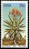 Colnect-5209-159-Aloe-littoralis.jpg