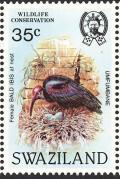 Colnect-1661-899-Southern-Bald-Ibis-Geronticus-calvus.jpg