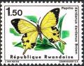 Colnect-2615-767-African-Swallowtail-Papilio-dardanus.jpg
