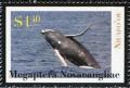 Colnect-4827-752-Humpback-Whale-Megaptera-novaeangliae.jpg
