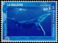 Colnect-5146-725-Humpback-Whale-Megaptera-novaeangliae.jpg