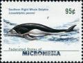 Colnect-5727-200-Southern-Right-Whale-Dolphin-Lissodelphis-peronii.jpg