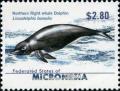 Colnect-5727-292-Northern-Right-Whale-Dolphin-Lissodelphis-borealis.jpg