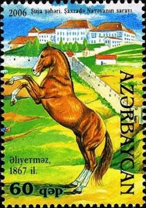 Colnect-1603-550-Karabakh-Horse--Aliyetmaz--Equus-ferus-caballus.jpg