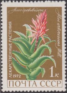 Colnect-1439-878-Aloe-arborescens.jpg