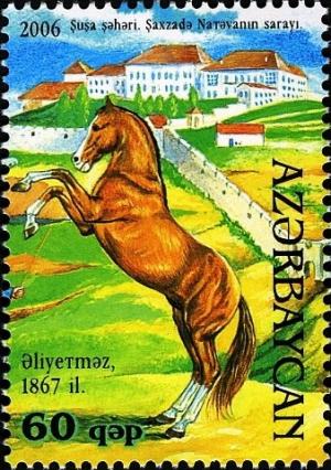 Colnect-1603-550-Karabakh-Horse--Aliyetmaz--Equus-ferus-caballus.jpg