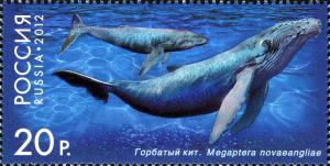 Colnect-2132-393-Humpback-Whale-Megaptera-novaeangliae.jpg