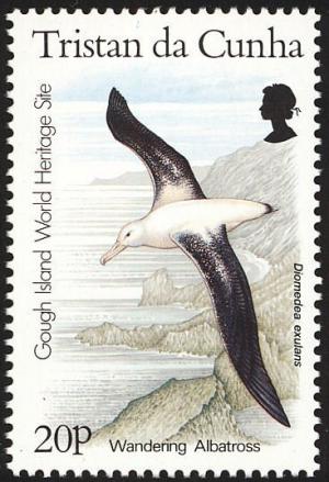 Colnect-2194-576-Wandering-Albatross-Diomedea-exulans.jpg