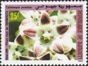 Colnect-2803-982-Calotropis-procera.jpg