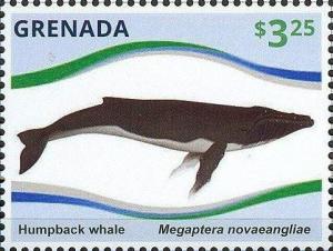 Colnect-2997-918-Humpback-Whale-Megaptera-novaeangliae.jpg